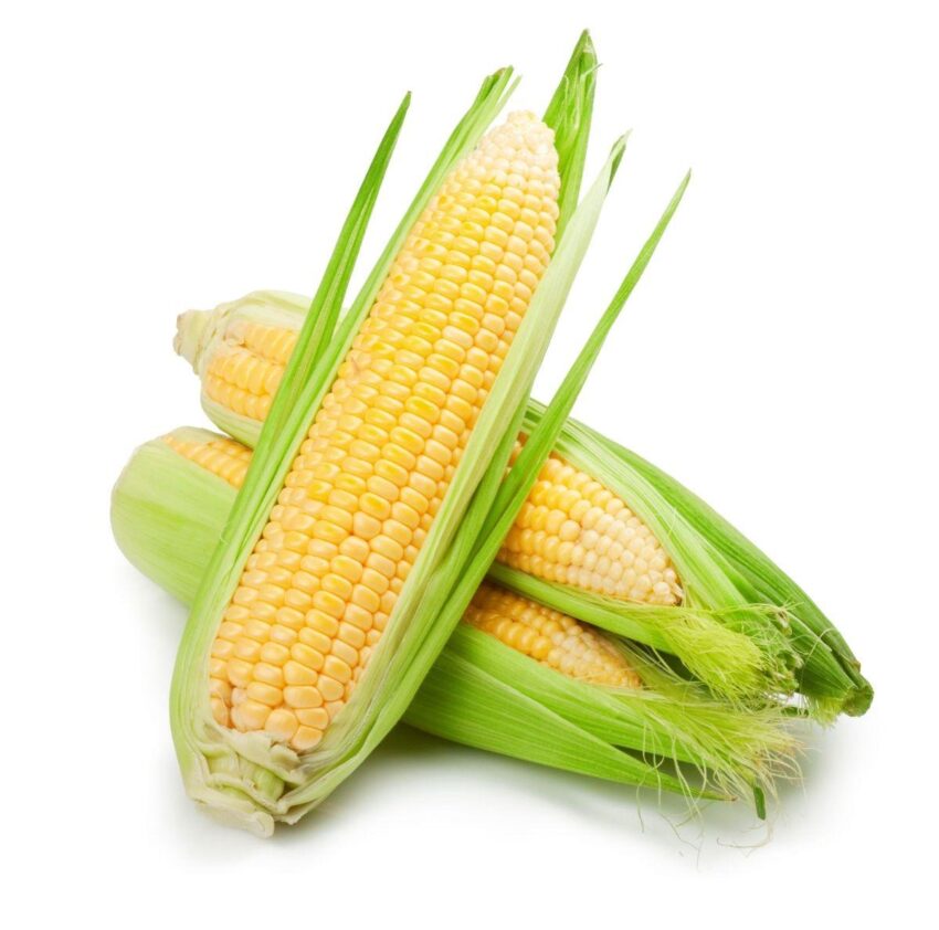 Sweet corn combo sold 4 in a pack